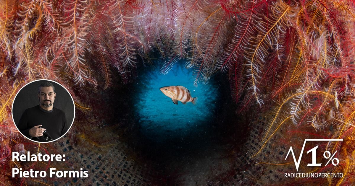 Luci dal Profondo: Fotografia Naturalistica Subacquea