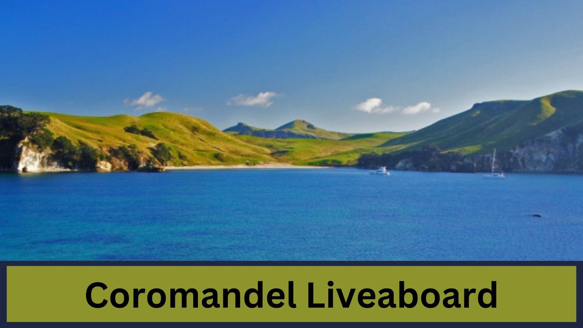 Coromandel Liveaboard Trip