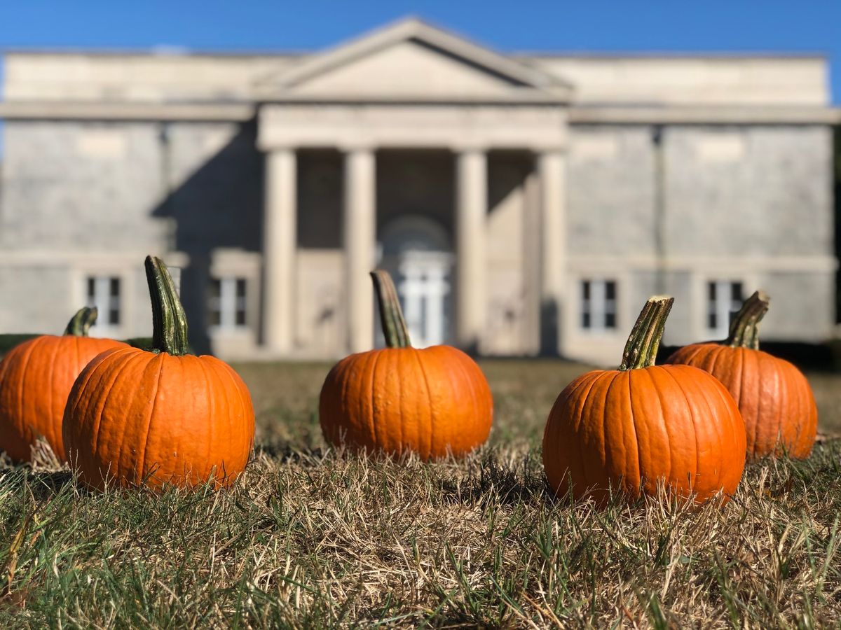 Pick and Paint a Pumpkin