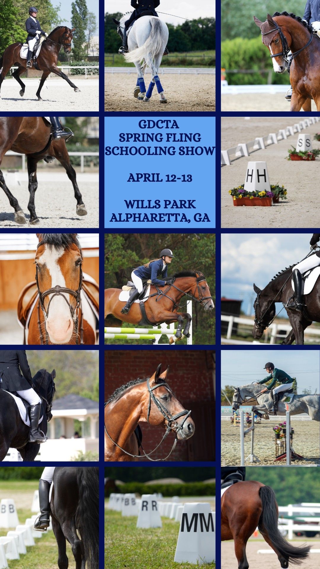 GDCTA Spring Fling Schooling Show