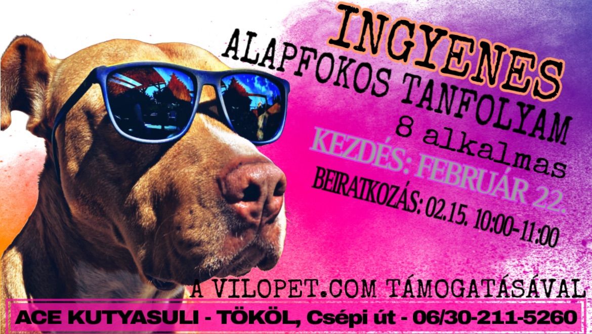 ACE Kutyasuli - FEBRU\u00c1RI INGYENES ALAPFOKOS TANFOLYAM M\u00c1R CSAK V\u00c1R\u00d3LIST\u00c1RA TUDSZ JELENTKEZNI