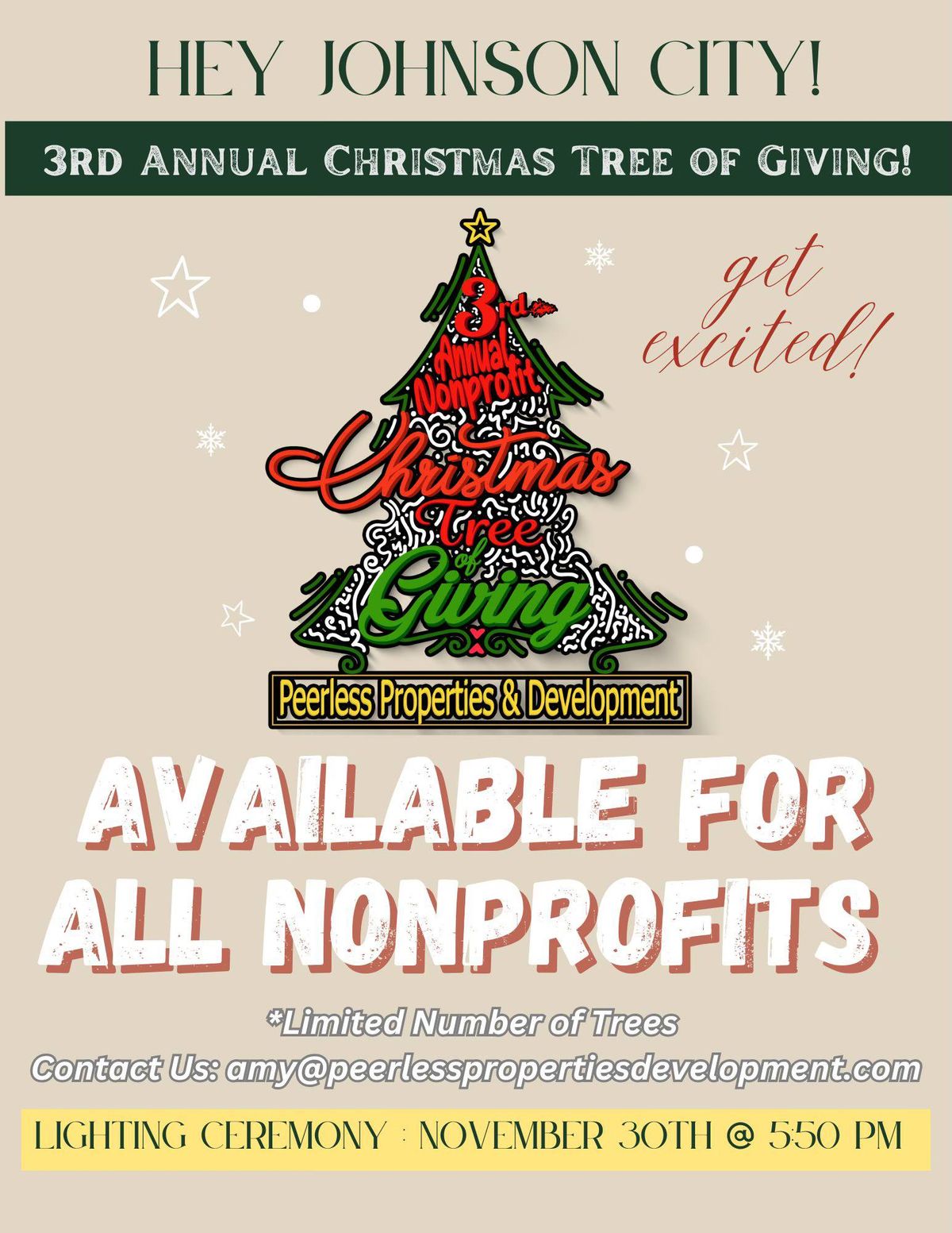 3rd Annual Nonprofit Christmas Tree Lighting 