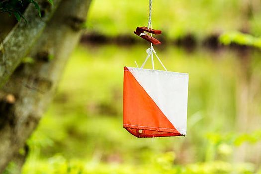 Course Dorientation Journee Decouverte Et Entrainement Online 3 February 22 Course Dorientation Journee Decouverte Et Entrainement Online 3 February 22