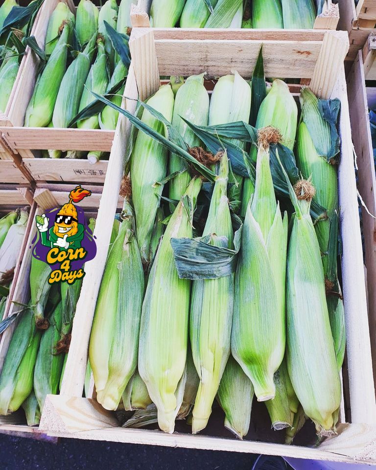 Corn 4 Days - Freshly Grilled Roasted Corn at Back-A-Yard, St.Paul's Carnival Community Picnic