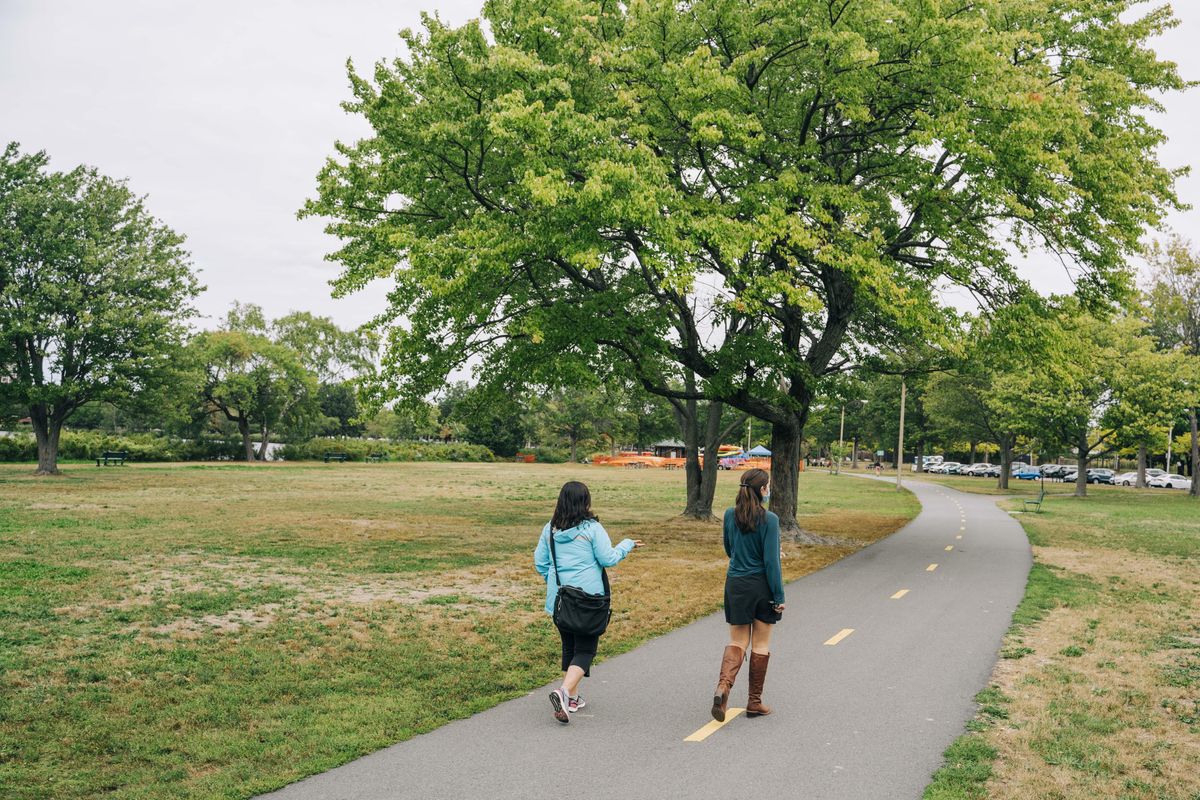 Herter Park: A Space in Transition