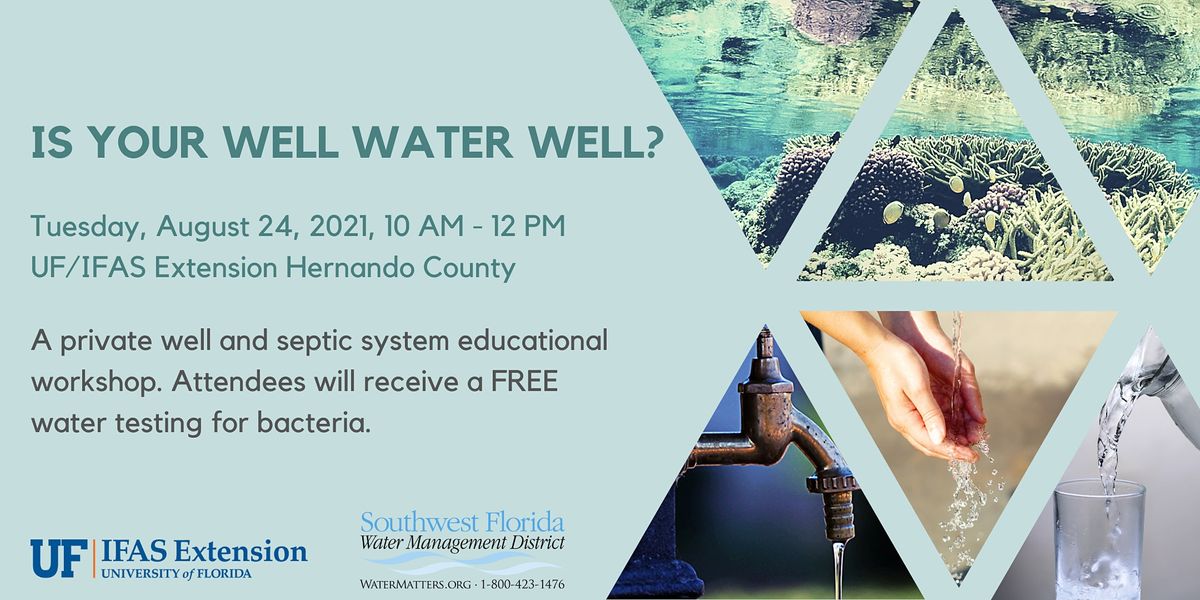 Events Happenings In Brooksville Fl Brooksville, Fl Events Calendar 2022