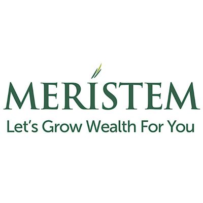 Meristem Securities Limited