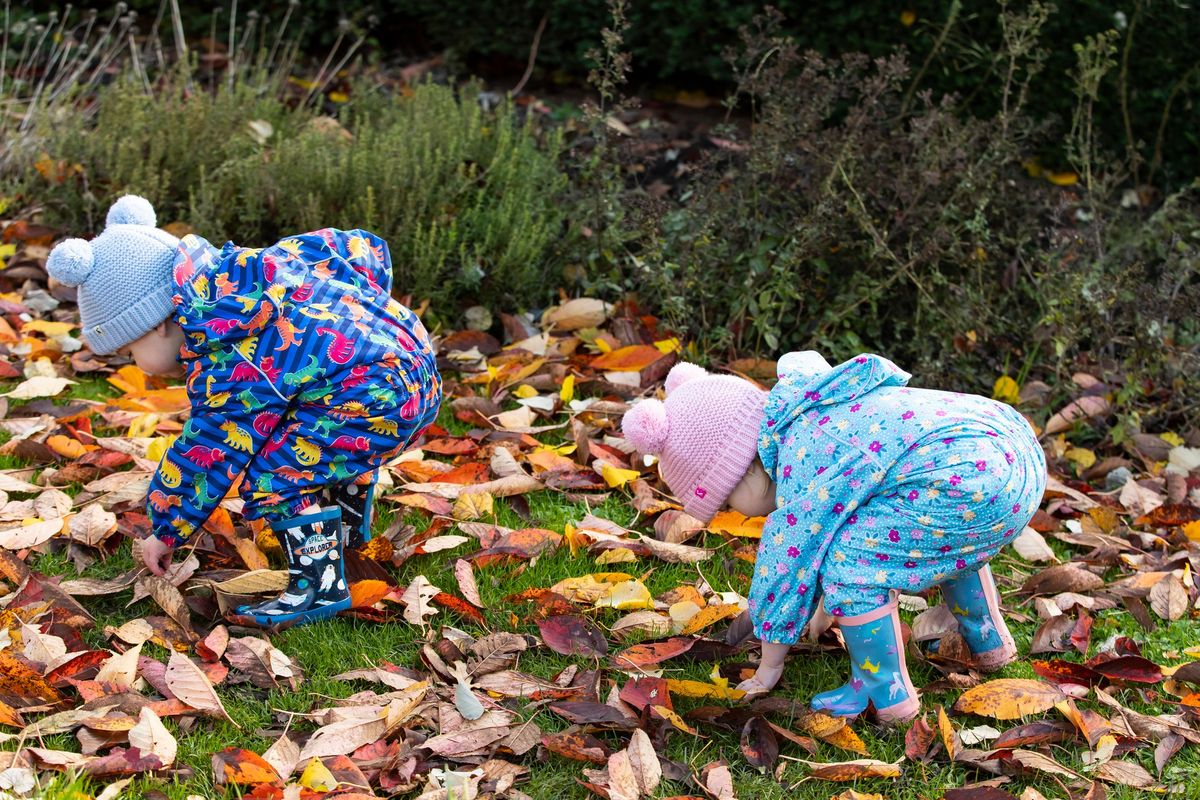 Mini Adventures at Mottisfont: Leaf Challenge