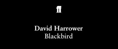 Audition - Blackbird By David Harrower