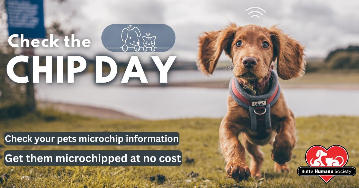 Check the Chip Day at Butte Humane Society