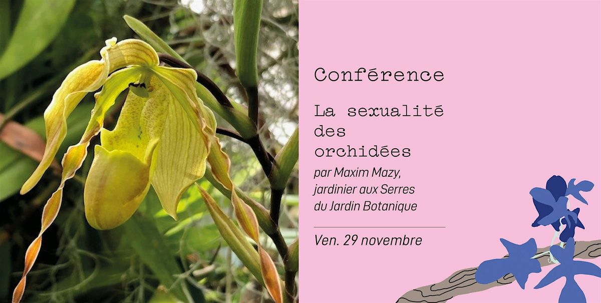 Conf\u00e9rence - La sexualit\u00e9 des orchid\u00e9es