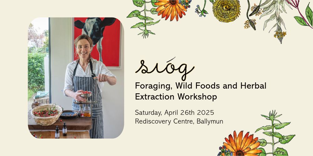 Si\u00f3g - Foraging, Wild Foods and Herbal Extraction Workshop