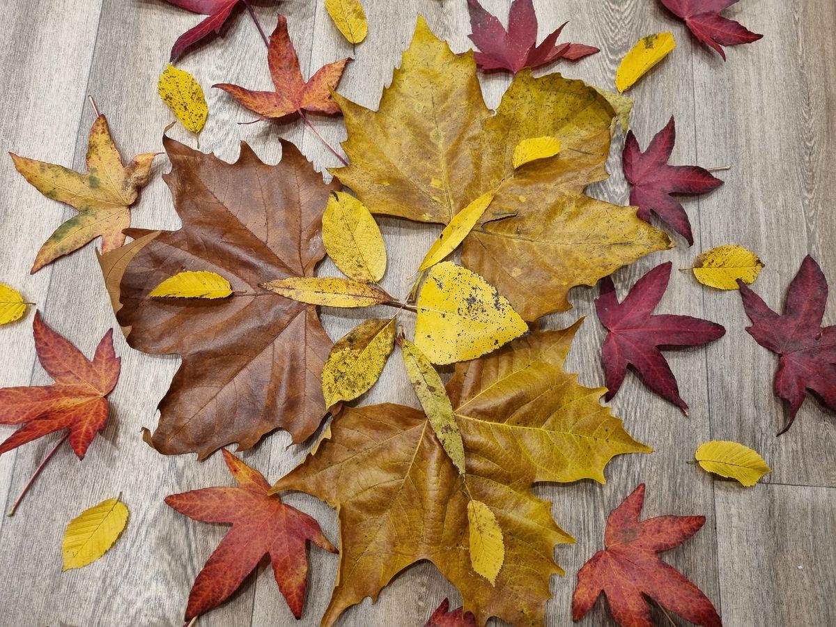 November Sound Bath with Edan Sound