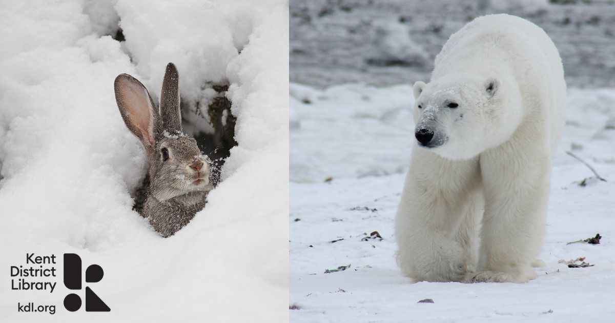 Polar Pals