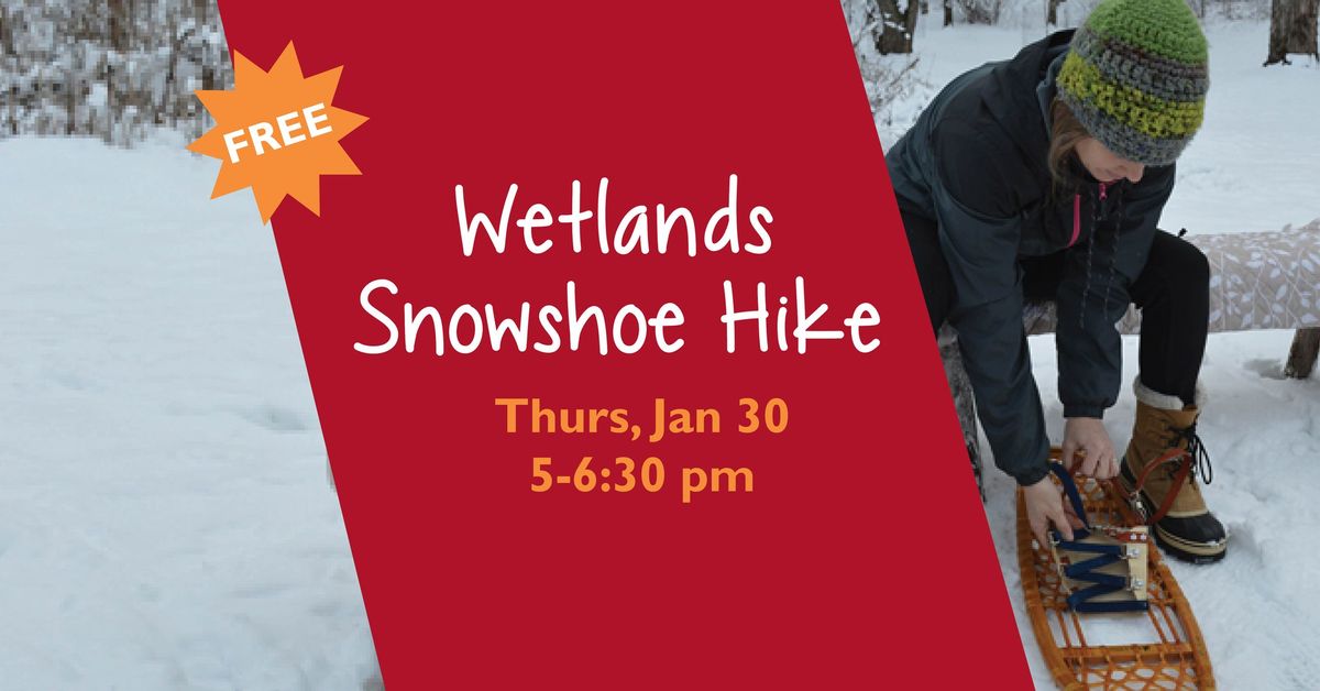 Wetlands Snowshoe Hike 