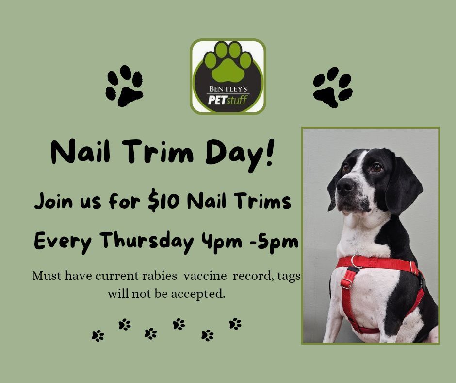 Nail Trim Special Day