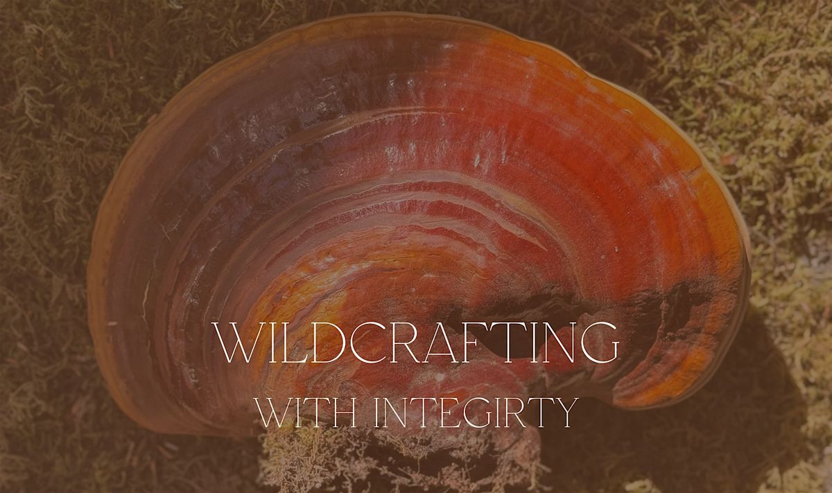 Wildcrafting with Integrity