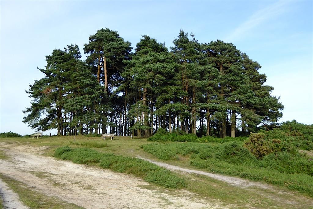 From Africa to Ashdown Forest: Protected areas through a cultural lens