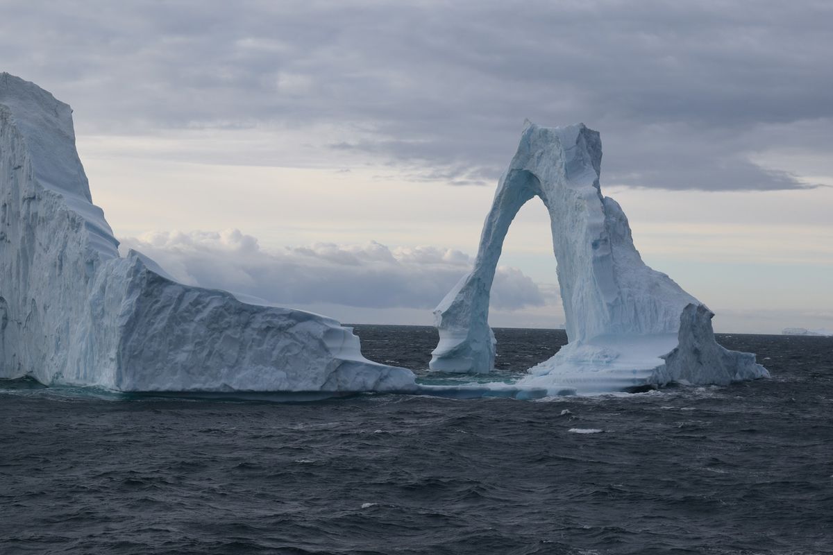 Nordlys, isbj\u00f8rne, enorme isbjerge og masser af pingviner v. Rajan Kunz Sakaria