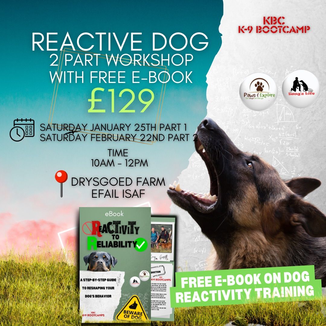 (NEW DATE) REACTIVE DOG WORKSHOP (2 Days) 