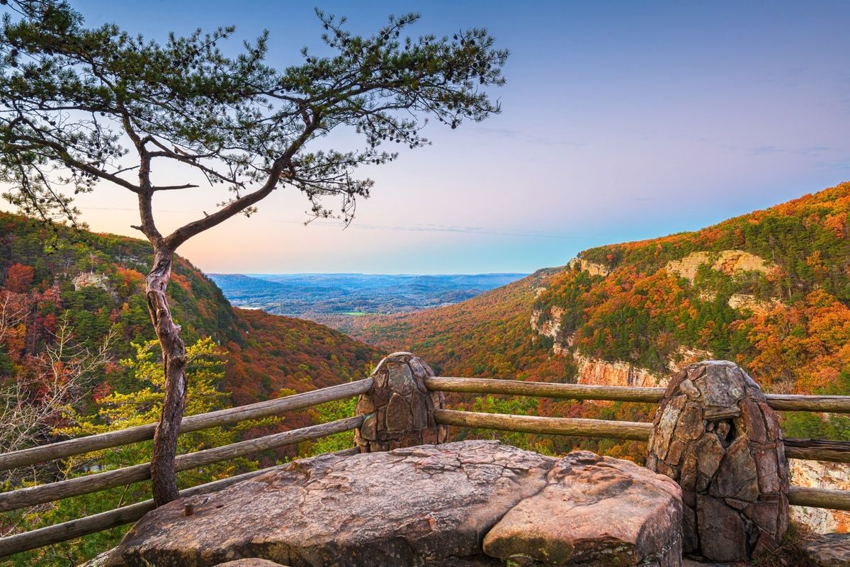 See Georgia: Cloudland Canyon B 2025