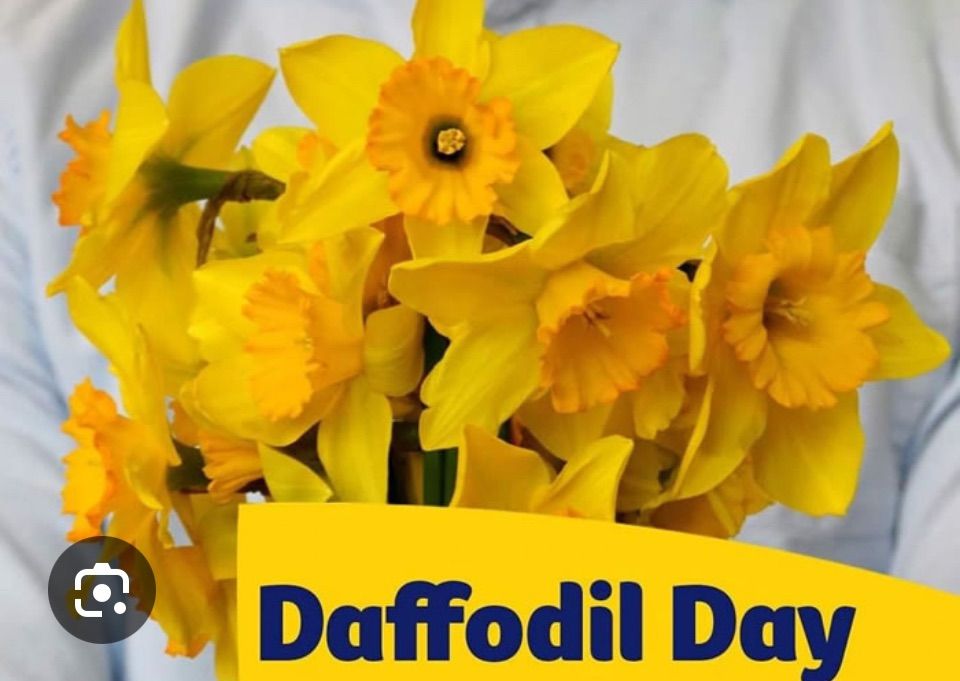 Daffodil Day Coffee Morning 