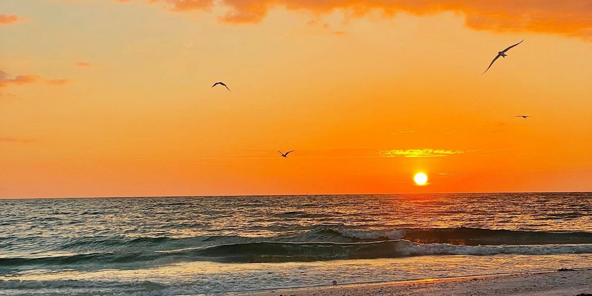 EcoWalk: Sunset Beach Meditation Walk - Manasota Beach