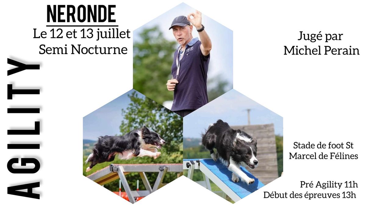 Concours Agility N\u00e9ronde 12\/07\/2025 Semi Nocturne 