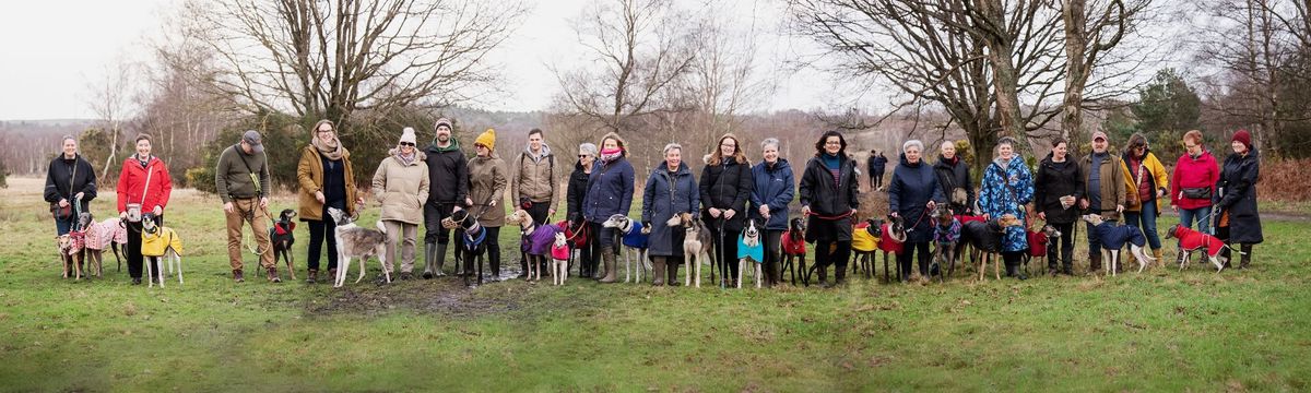 NYE Sighthound Stroll - CHOBHAM COMMON