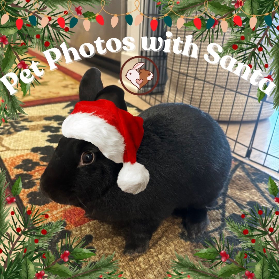 Pet Photos with Santa with L&S