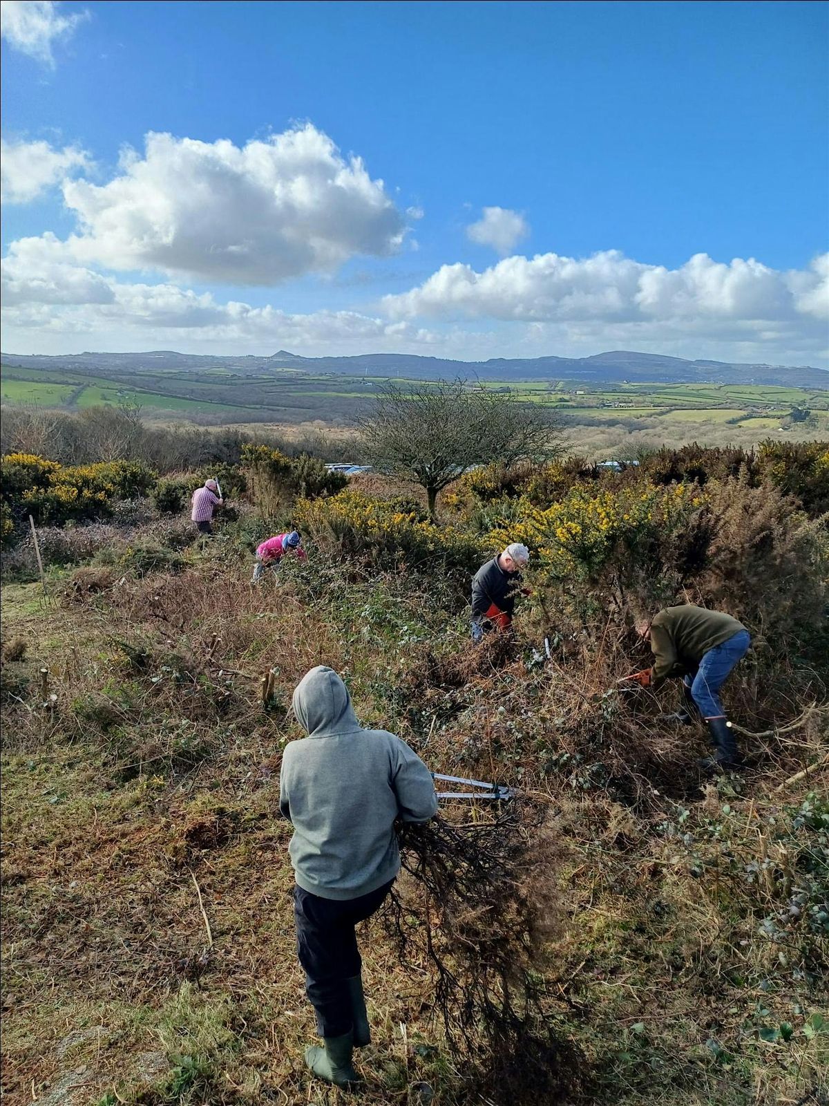 Practical Conservation Volunteer Day at Helman Tor