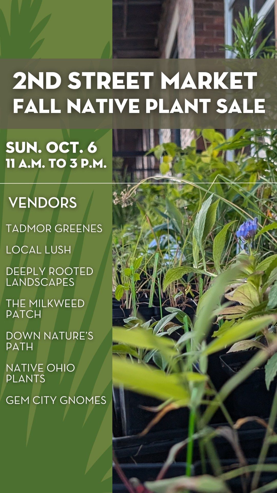 Fall Native Plant Sale at the Market 