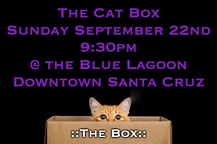 The Cat in the Box