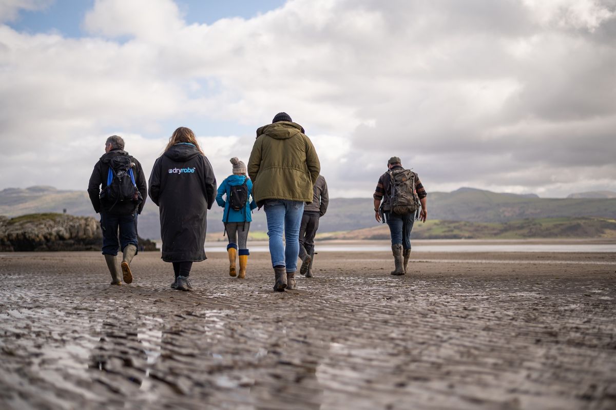 Coastal Foraging Course