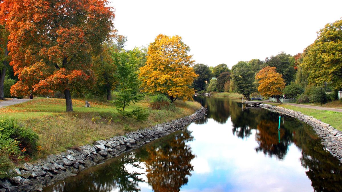 Songs for an Autumn Afternoon