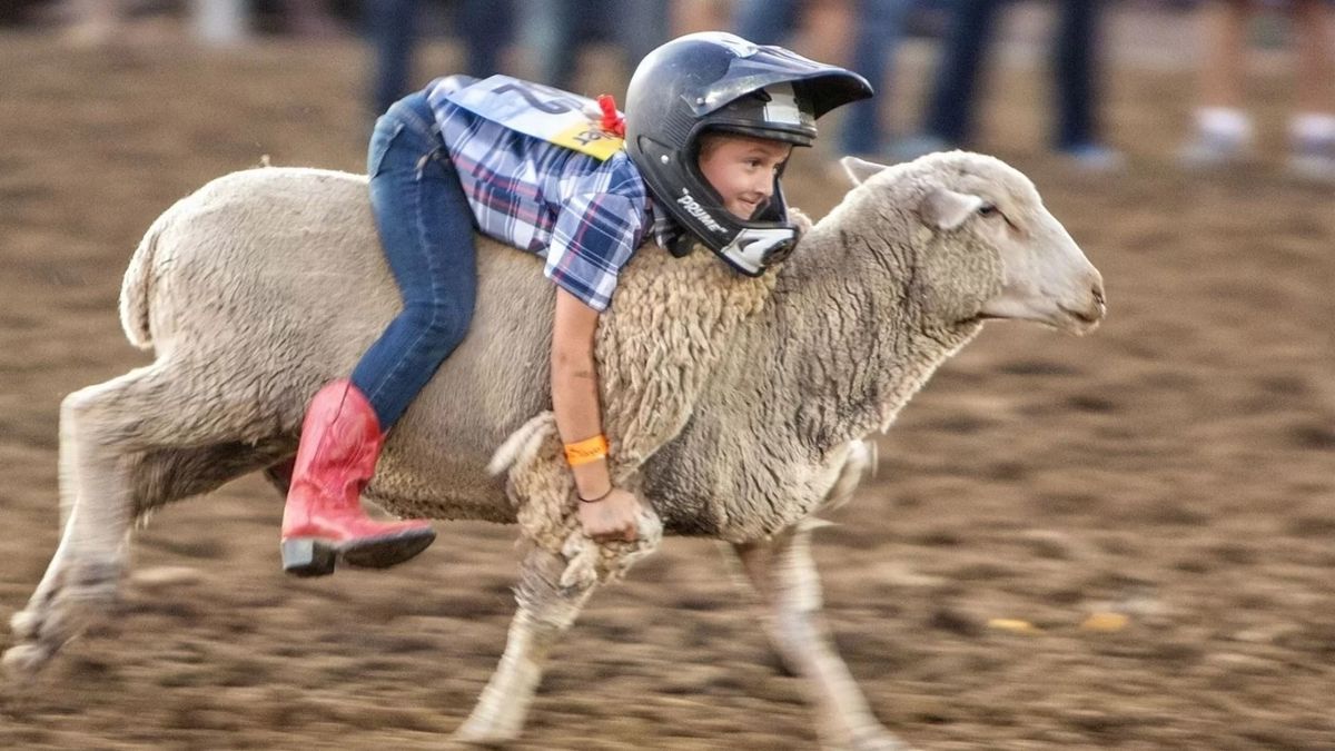 Mutton Bustin' Event