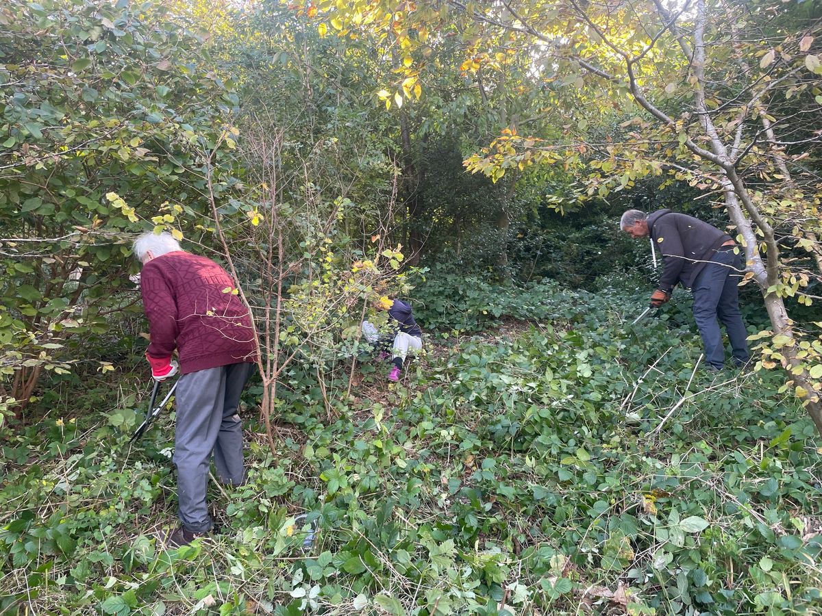 Volunteer Day at Craven Wood