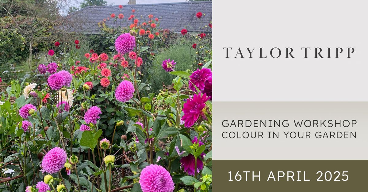 Colour in your Garden Workshop with Nicholas Tripp