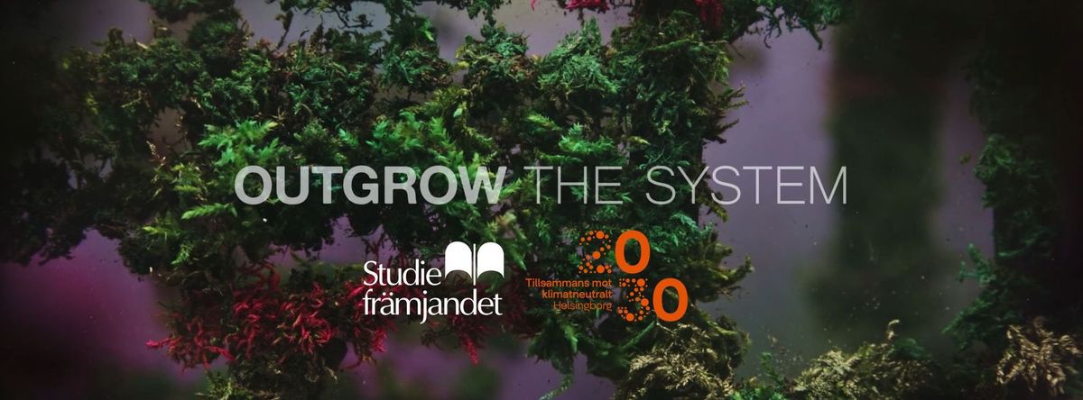 N\u00e4tverkstr\u00e4ff och visning av Outgrow the system 