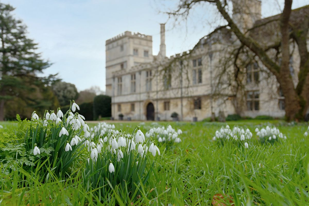 Snowdrop Sundays