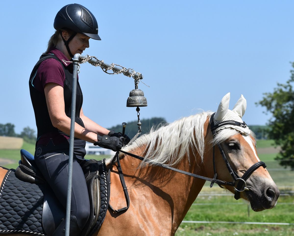 Trailkurs f\u00fcr Working Equitation