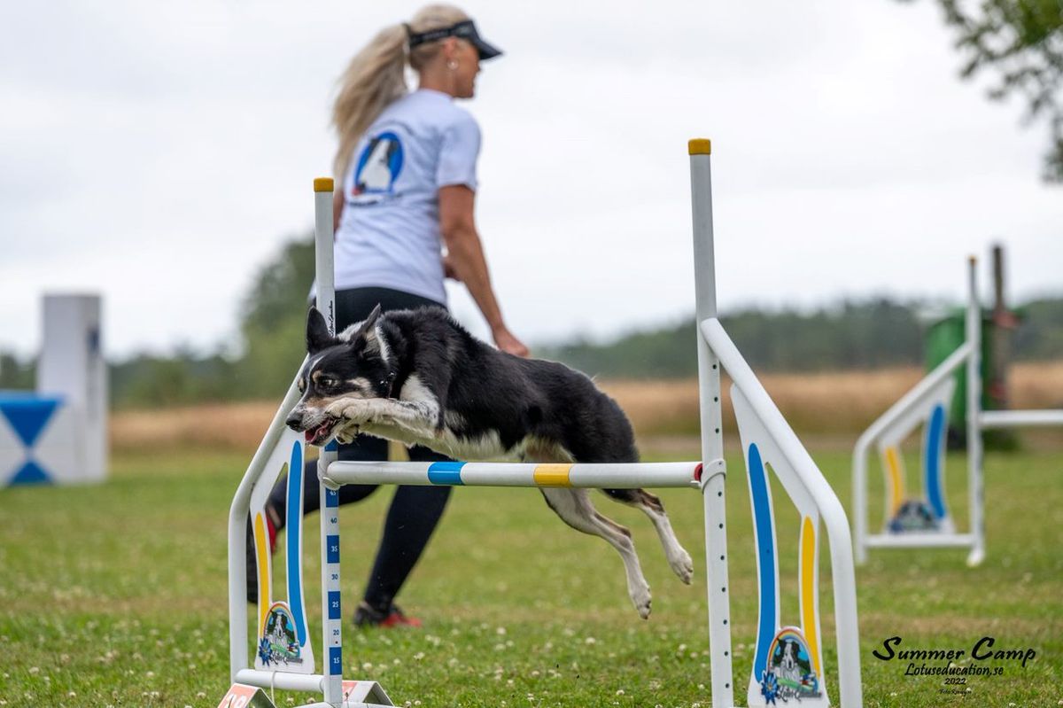 \u00c5pen Hoppstevne i Vestby Agility Hall