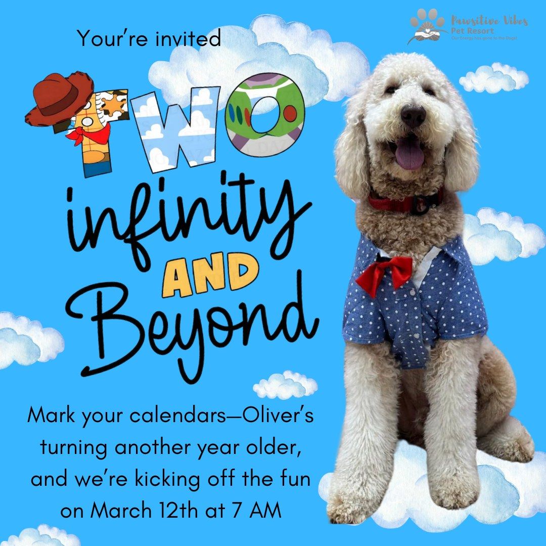 \ud83d\ude80\ud83d\udc3e Oliver\u2019s 2nd Birthday Paw-ty \u2013 Two Infinity & Beyond! \ud83c\udf82\ud83c\udf89