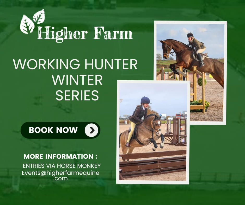 Working Hunter Winter Series Show 3