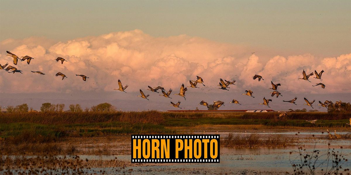 Nature Photography Event - Merced Wildlife Refuge