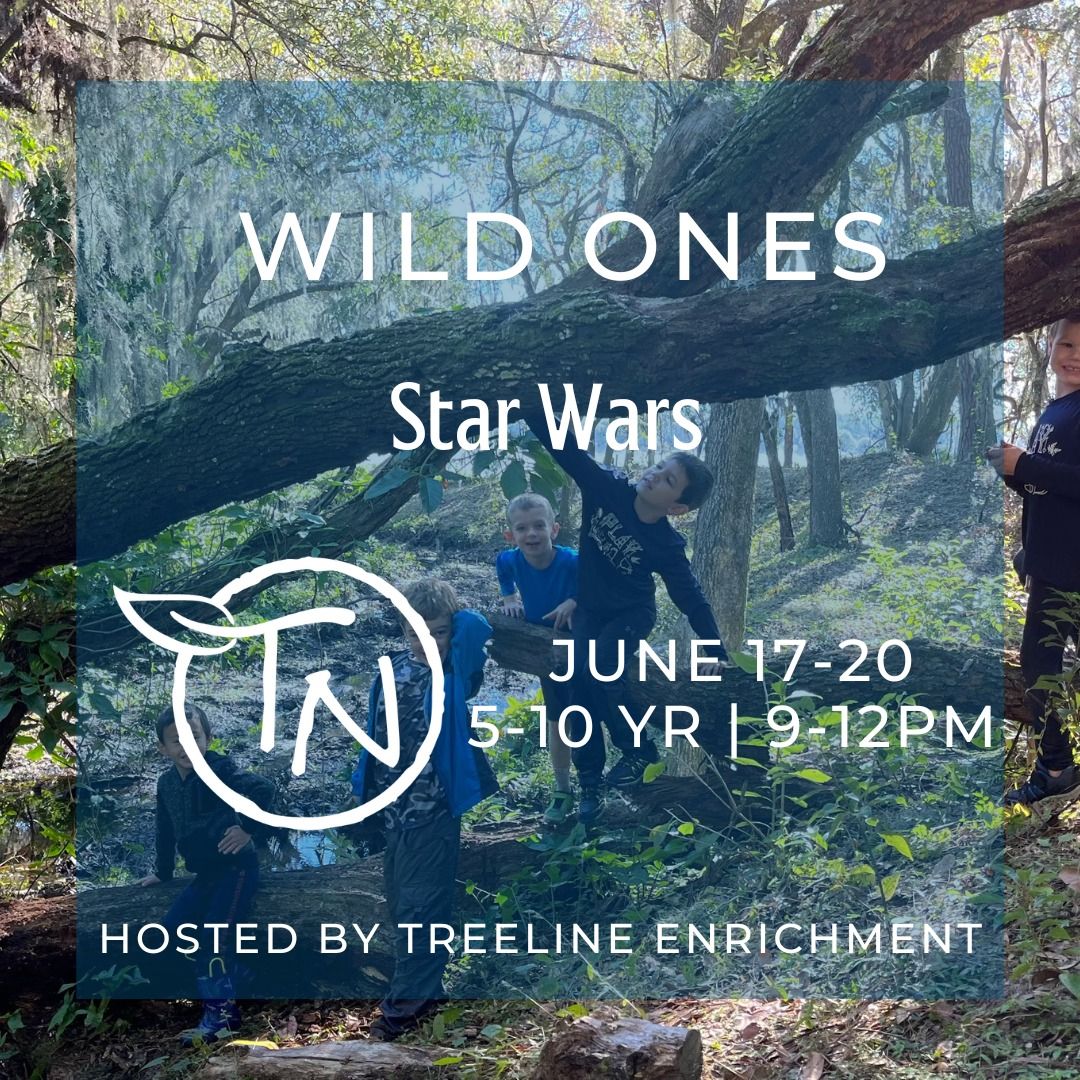 Wild Ones: Star Wars - TimberNook Summer Camp