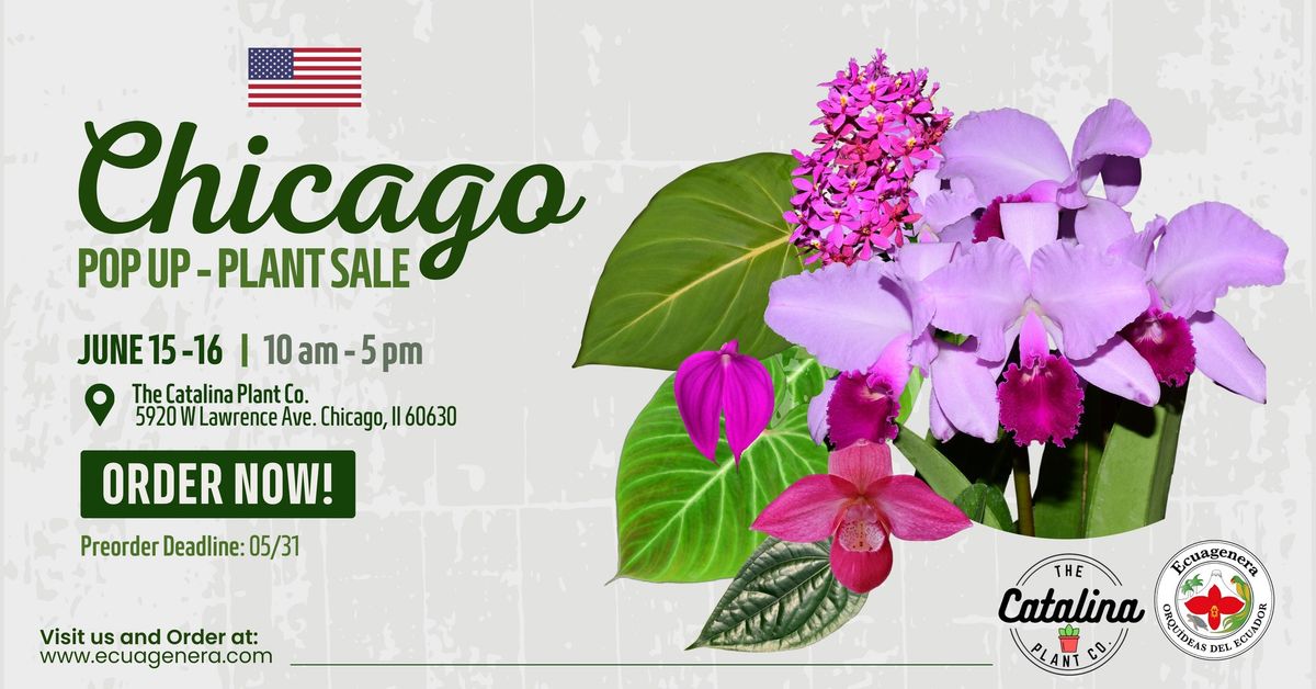 Chicago Pop Up - Plant Sale