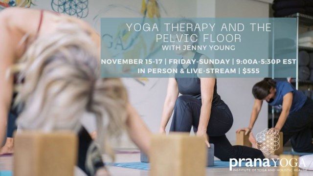 Yoga Therapy and the Pelvic Floor