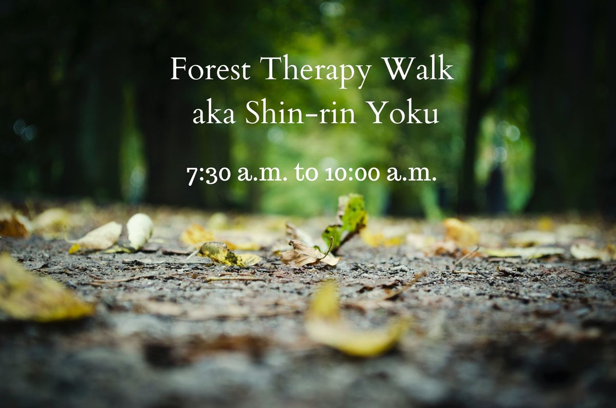 Forest Bathing (aka Shin-rinYoku)