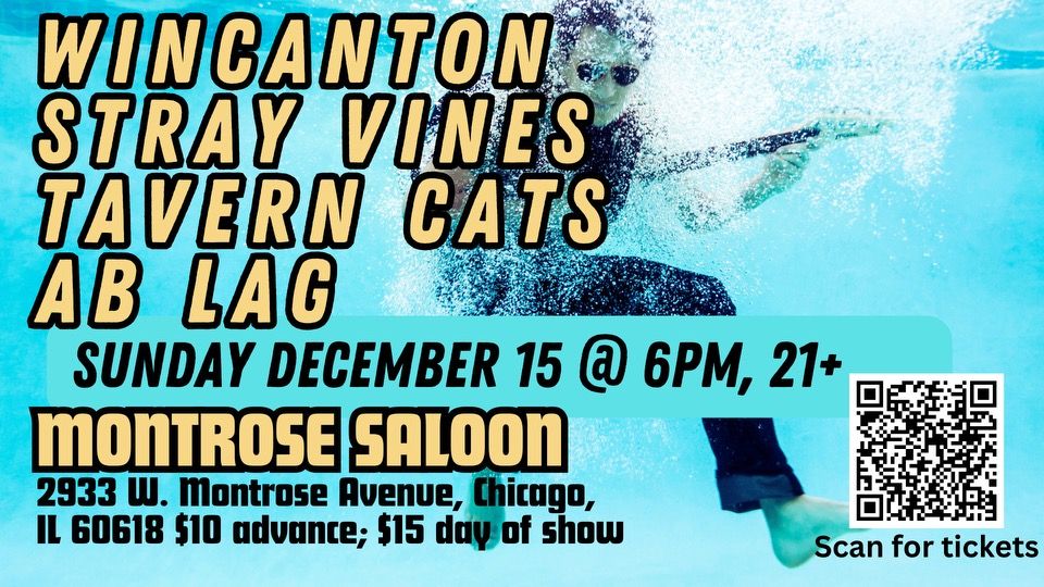 Wincanton\/Stray Vines\/Tavern Cats\/Ab Lag @ Montrose Saloon, Sunday December 15